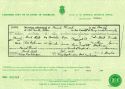 Fred Holt and Alice Hopkinson - Marriage Certificate